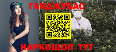 apvp Бердск